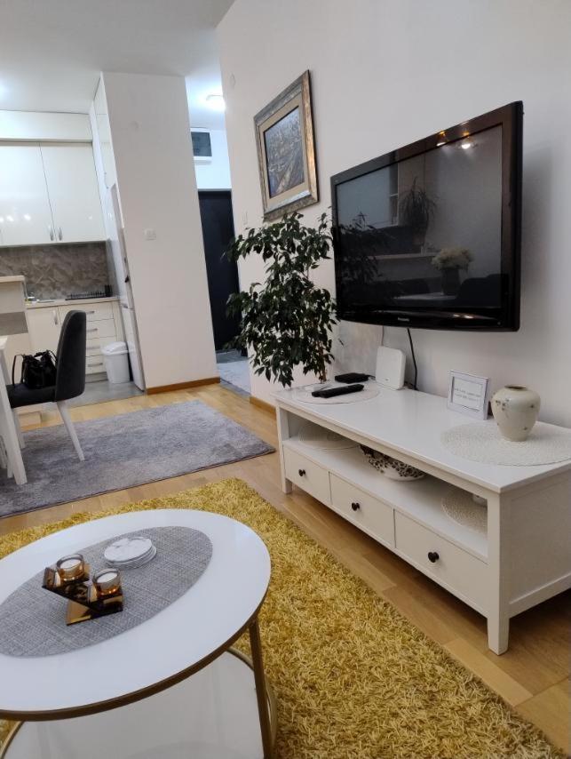 Lovely Apartment - Ljupki Stan Подгориця Екстер'єр фото